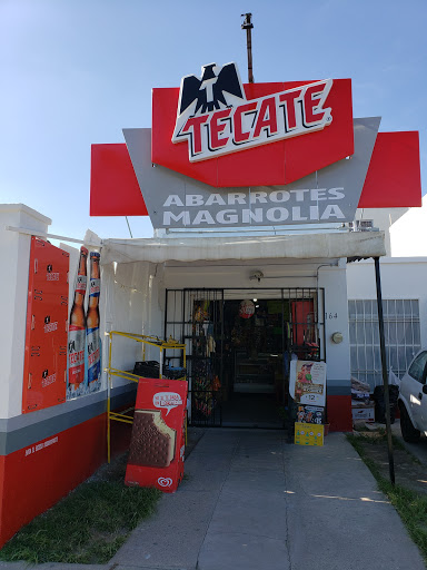 TIENDA ABARROTES MAGNOLIA