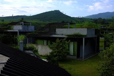 Photos of Tea garden resort