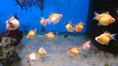 Photos of Midtun Zoo &Aring;sane AS