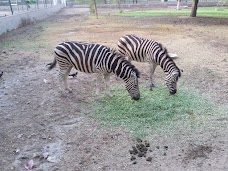 Bahawalpur Zoo