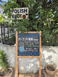 ポーリッシュブルー２