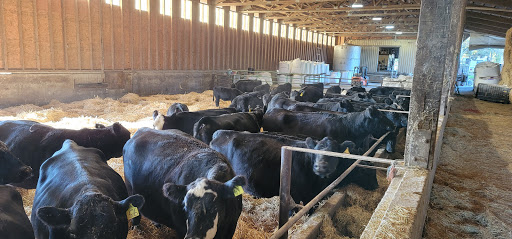 Mckillip's Feedlot - Thumbnail