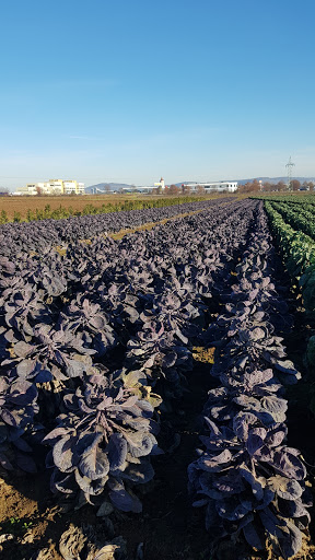 Fellbach Rems-Murr-Center - Thumbnail