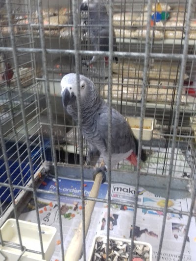 Photos of Durban Pets & Aquarium