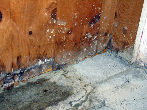 Bay Ridge Experts photo