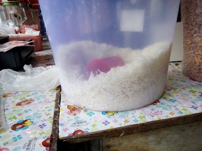 Photos of Makaroni Mewek