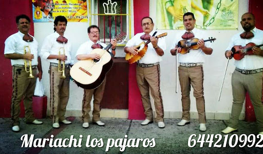 MARIACHI "Los Pájaros"