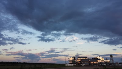 Photos of Palmar De Altamira