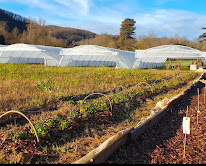 Éclosion Ferme florale à Campagne-sur-Arize