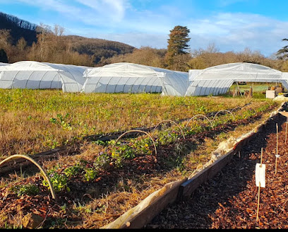 Éclosion Ferme florale