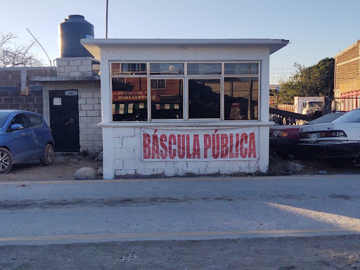 Bascula Amayuca - Visual