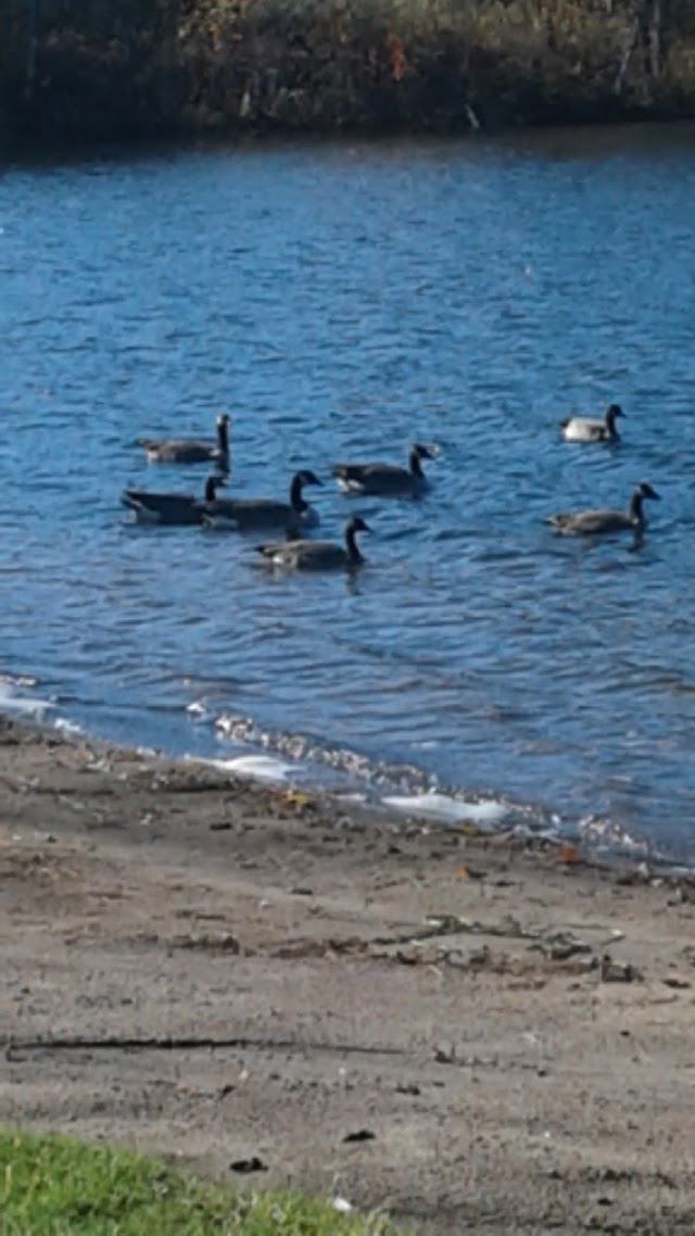 Plage municipale
