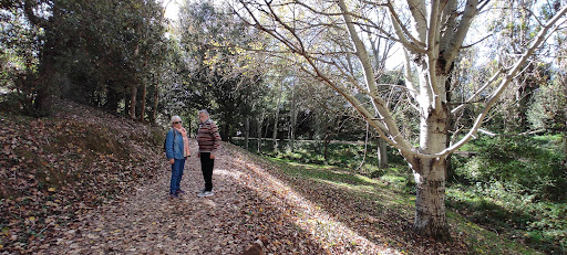 Parc Ca N'Alzamora - Thumbnail