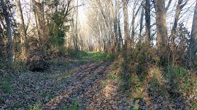 Photos of Agricola S&A Rinconada S.A.
