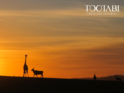 Photos of Tootabi Hunting Safaris