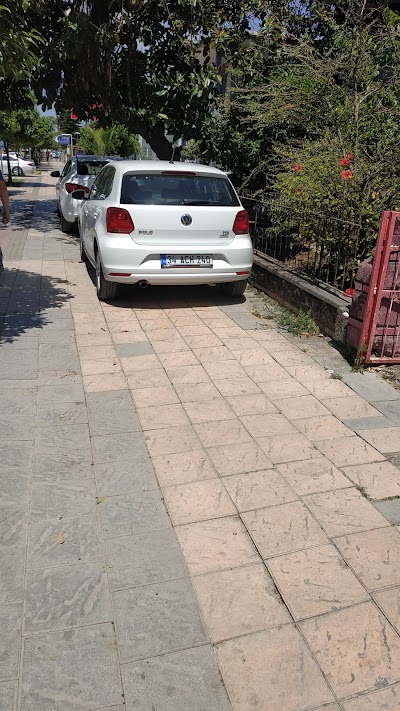 car-rental
