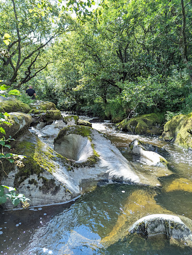 Gilfach Nature Reserve - Thumbnail