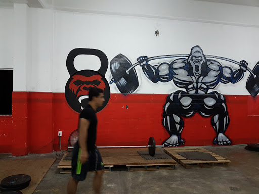 Silverback TC Gym - Thumbnail
