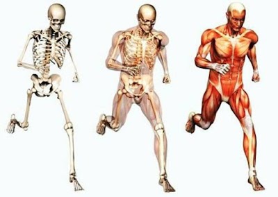 Photos of Cl&iacute;nica de Fracturas