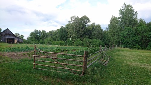 Privātkolekcija, Muzejs