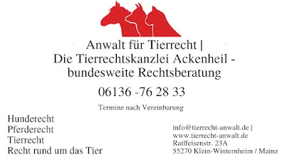 Photos of Anwaltskanzlei Ackenheil
