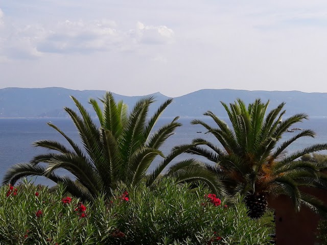 Porto Pollo