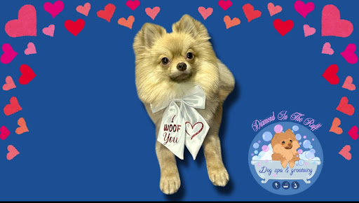 Diamond In The Ruff Dog Grooming & Spa, Little Hoole