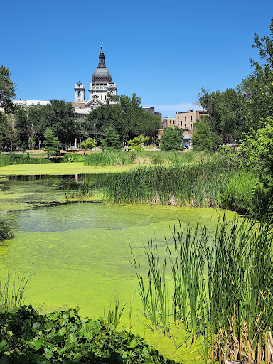 Loring Park Gallery - United States