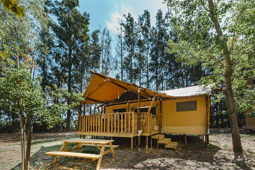 Photo de Camping Yelloh Village Perla Di Mare à Ghisonaccia en Corse à Ghisonaccia (20240)