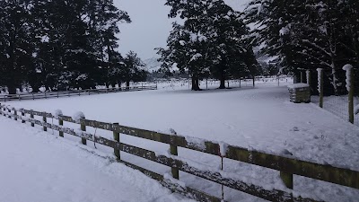 Photos of Rubicon Valley Horse Treks