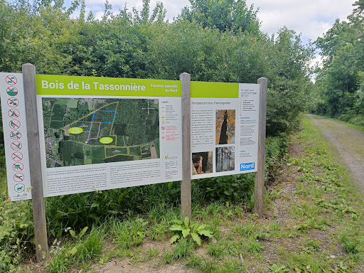 Tassoniere Woods - Thumbnail