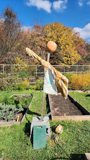 CCBC Essex Community Garden - Thumbnail