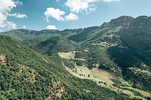 Photo n°36 de REMAX LINK IMMOBILIER DROME ARDECHE à Chabeuil (Expert immobilier)