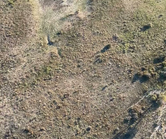 OBE Organic® Australian Beef by null