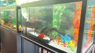 Photos of MIRIYAM AQUARIUM