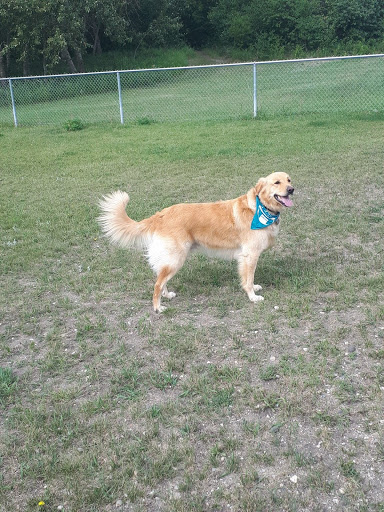 North Hill Dog Park - Thumbnail