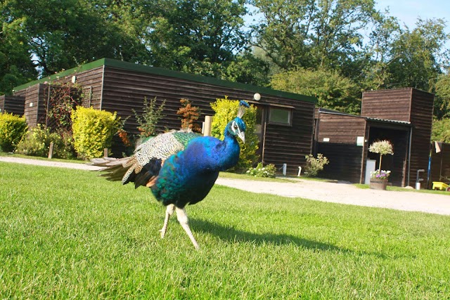 Brokerswood Country Park