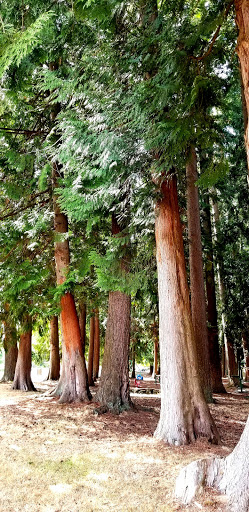 Northpointe Park - Thumbnail