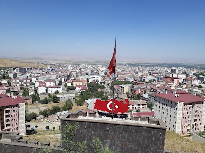 Muş