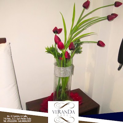 Photos of Hotel Veranda