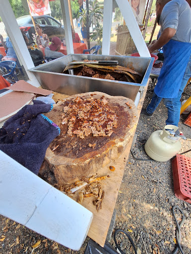 Birria a la penca Gallery - Mexico