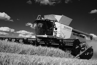 Photos of Tingley's Harvest Center