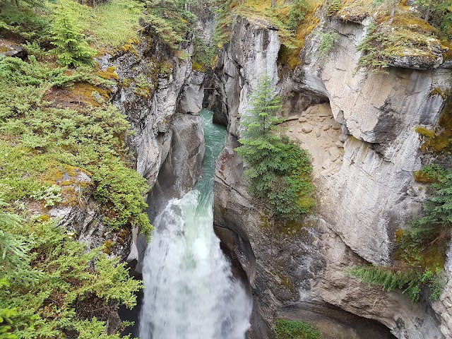 Maligne Canyon