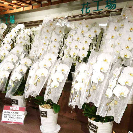 花工場 溝の口店 Flower Factory溝の口 溝の口駅より徒歩10分 花屋 フラワーショップ