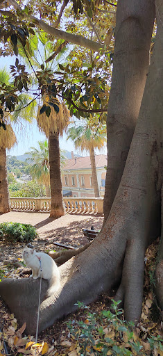 Giardini Ludovico Winter - Thumbnail