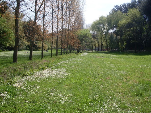 P.R.U. Pineto