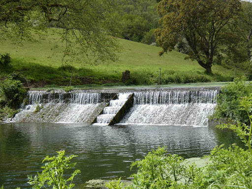 Salmon Leaps - Visual