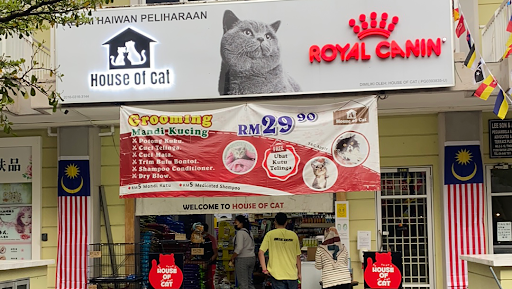 House of Cat