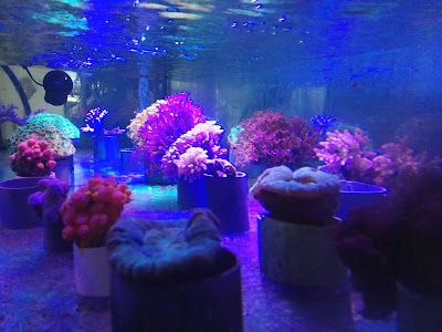 Photos of Enggal Aquarium