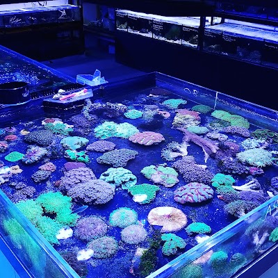 California Reef Co.